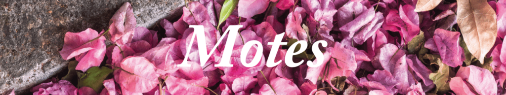 A header image with the word "Motes" against a background photo of bougainvillea leaves in a gutter