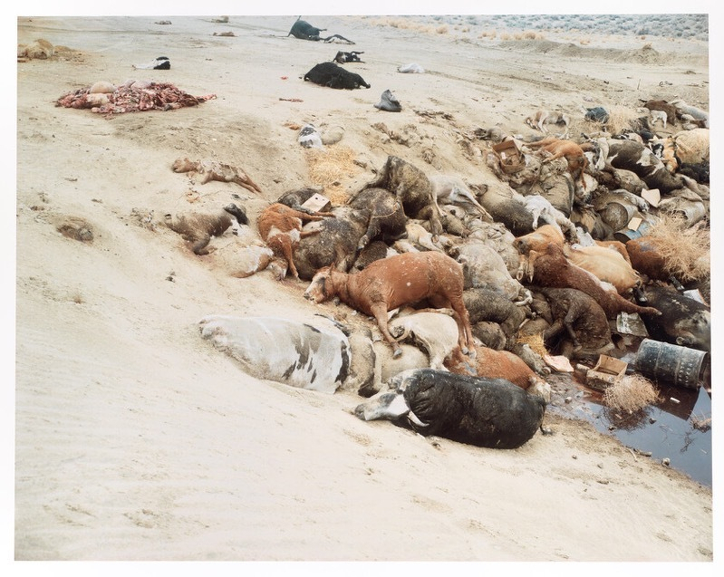 2003_2_cropped.jpg
